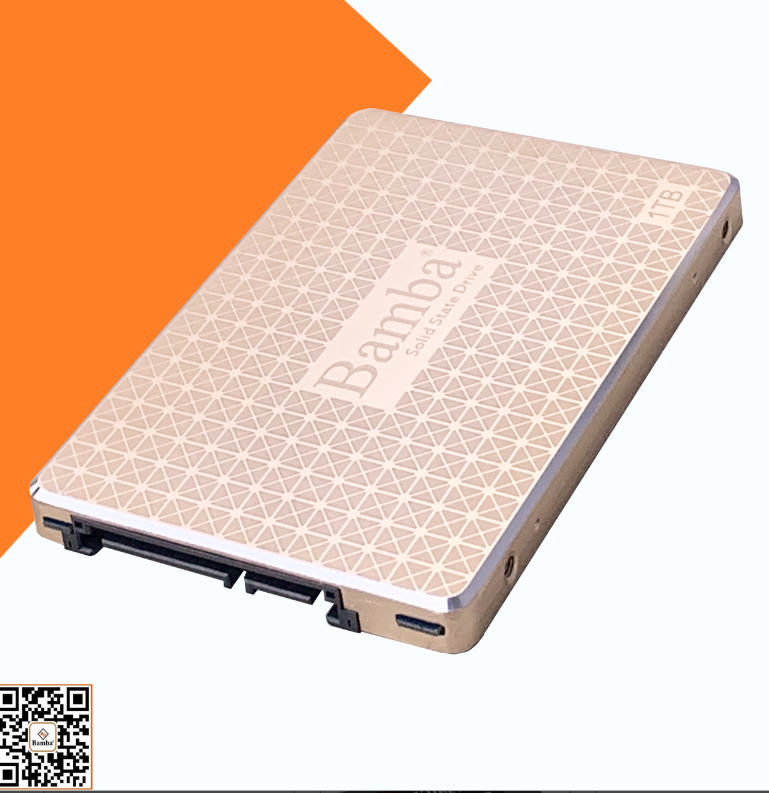 SSD 1TB (1000G) (BAMBA) 2.5 INCH