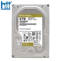 Ổ cứng HDD WD GOLD (6TB/3.5 INCH/SATA 3/256MB CACHE/7200RPM) (WD6003FRYZ)