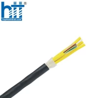 Cáp quang Multimode OM3 12 cores Panduit FLKLX12