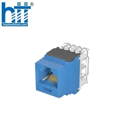 Nhân Mạng RJ45 Cat 6A U/UTP Panduit