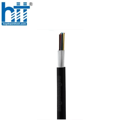 Cáp quang Multimode OM3 6 cores Panduit FLKLX06