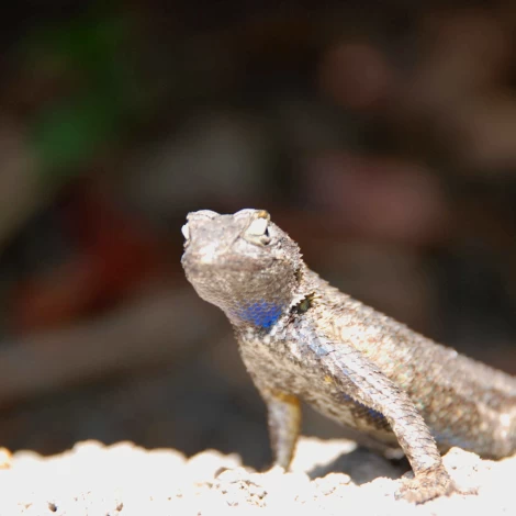 Tại sao những công nghệ xây dựng hiện đại nhất năm 2023